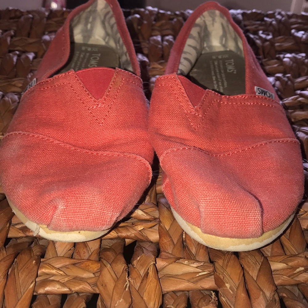 TOMS - Picture 3 of 6